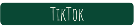 TikTok Link
